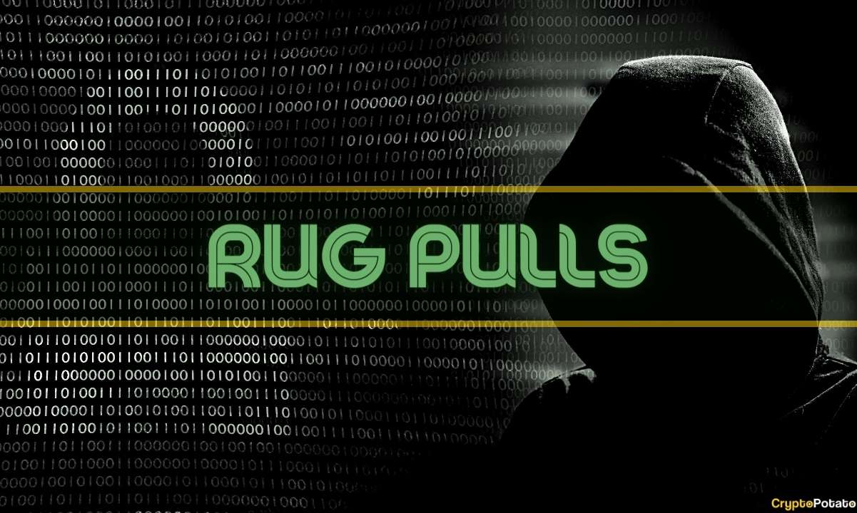 rug pull crypto checker